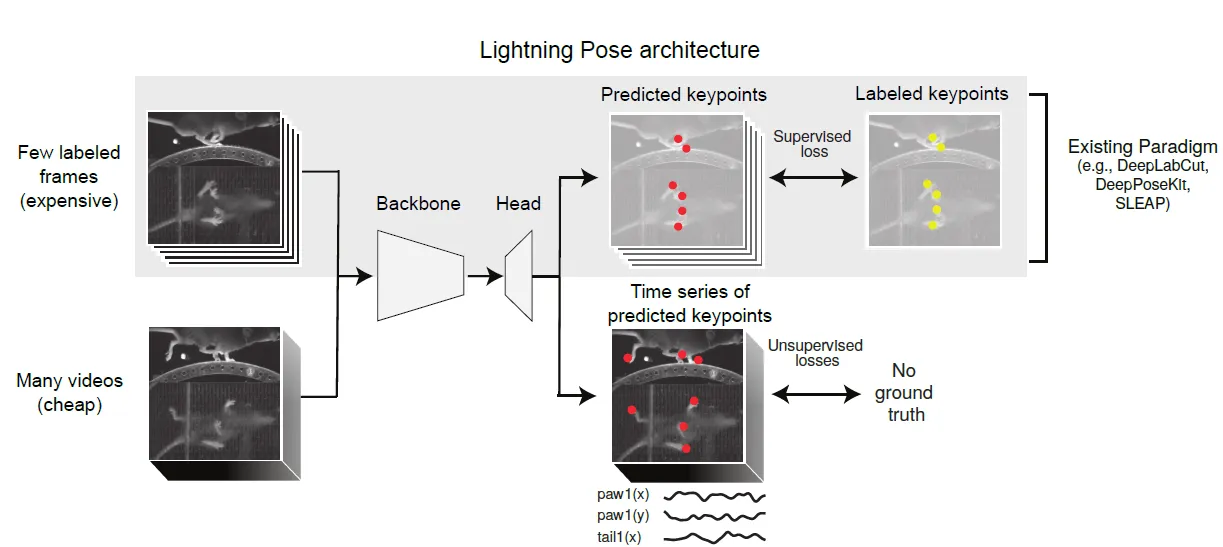 Lightning pose AI system